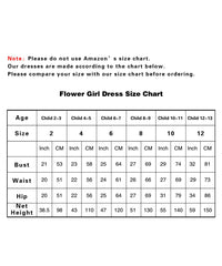 AbaoWedding Champagne Prom Lace Princess Ball Gowns Kids Pageant Flower Girls Dresses