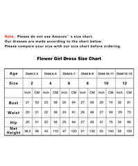 AbaoWedding Lace Flower Girls Dresses Kids First Communion Dress Princess Wedding Pageant Ball Gown - AbaoWedding